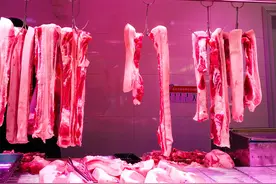 科普丨猪肉上的红章和蓝章是用来区分公母的？图片