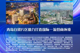 优化营商环境的地方探索与实践——中国(山东)自由贸易试验区青岛片区图片