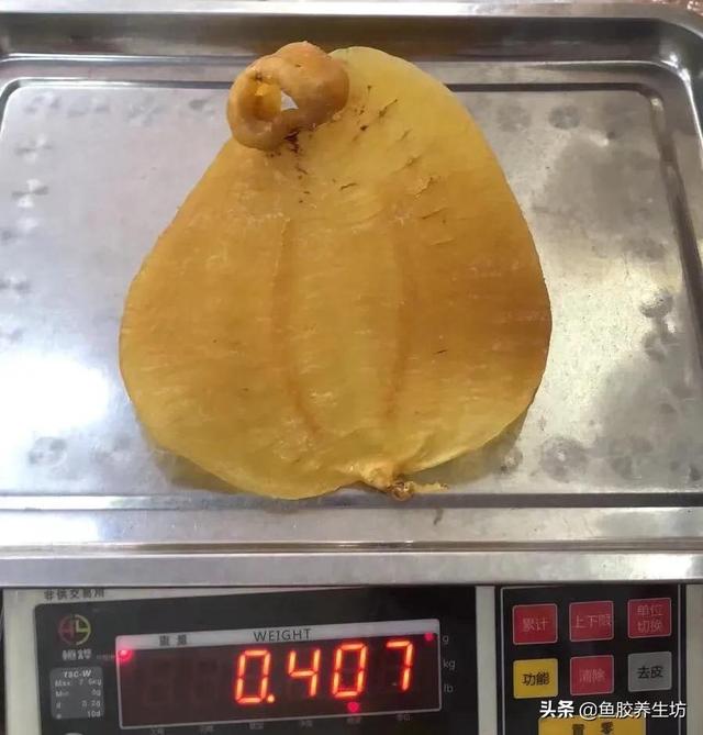 人工合成花胶 人工合成花胶可以吃吗