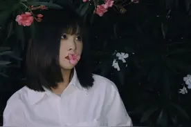 它叫夹竹桃，是一种剧毒植物，在城里却随处可见，遇到请自觉远离图片