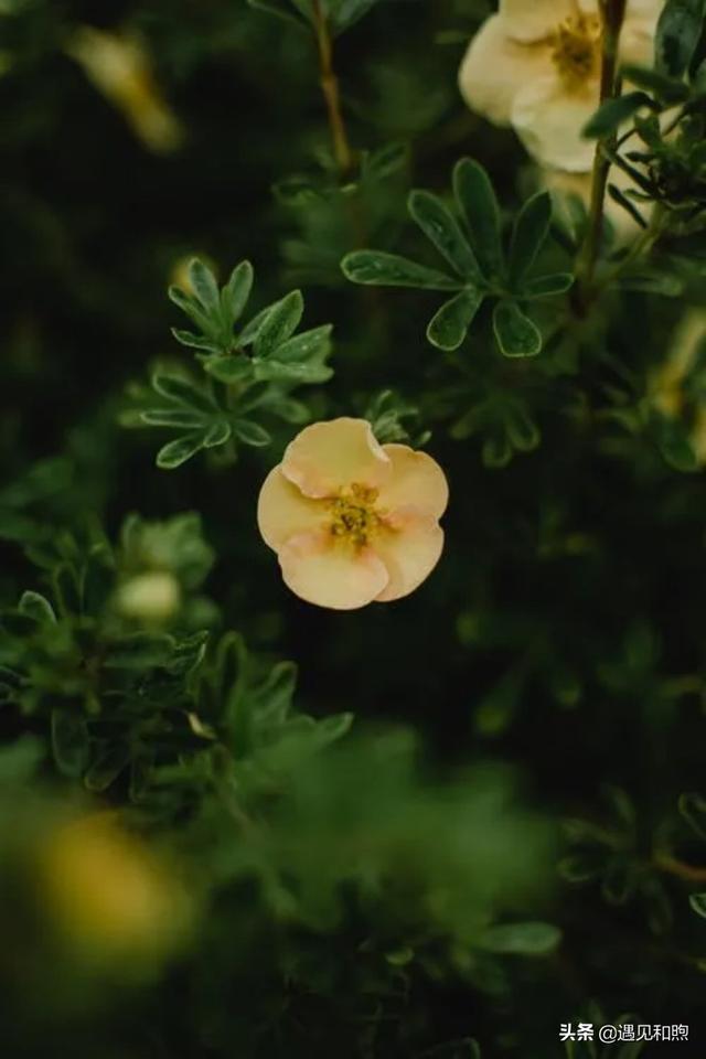 经常梦见某一个人，其实是有原因的