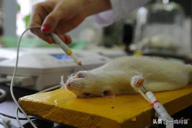 二战时日军给女性注射的“606药剂”是啥?对女性伤害有多大?