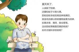 夏季“蚊”出没 防蚊有绝招图片