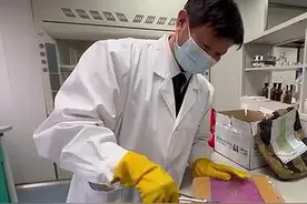 山东海关查获剧毒毒蛇！咬人后，1小时内导致消化道大出血图片