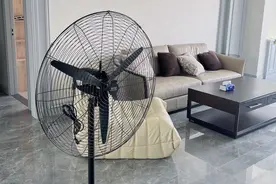 去除室内甲醛污染的方法有哪些？图片