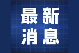 刚刚！合肥市体育中考方案公布！图片