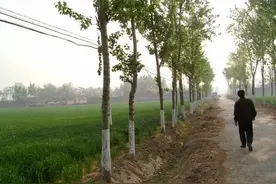 下乡插队的知青岁月(26).知青到农民家里吃饭体验农民生活图片