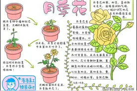 自然观察笔记手抄报图片