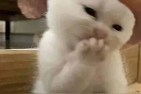 人被逼急了什么都会，被自己写数学题的离谱答案逗笑！图片