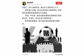 离谱！吴兴涵被带走，纪委联合调查组进驻山东泰山图片
