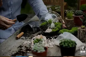 余生，允许自己做一个“无用”的人图片