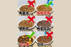 6大狗粮测评！千万别选毒粮了图片
