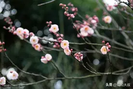父母与子女之间，如果不想变仇人，就别碰这两件事，请记牢图片