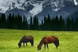 生命老去的路上，不念过往，不贪未来，风清散闲伴日月图片