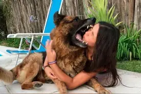 少女跟爱犬亲密自拍 不成想遭德牧疯狂咬脸险毁容图片