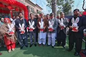 兔年多欢庆，“巴铁”情谊浓——2023“欢乐春节”活动在巴基斯坦白沙瓦市隆重举行图片