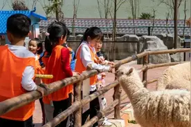 免票！特价！家长们要的景区福利来啦！图片