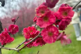 浅谈"学习传统文化"之心得图片