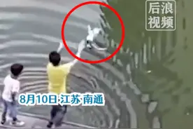 两男孩多次将流浪猫扔湖里，还鼓掌欢呼，物业回应：正在找家长，猫好像自己爬上来了，会加强巡逻图片