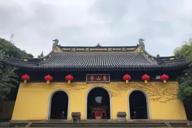 惠山精灵金莲花图片