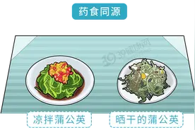 蒲公英是抗癌之王，不仅能杀死癌细胞，还能消除结节？告诉你答案图片