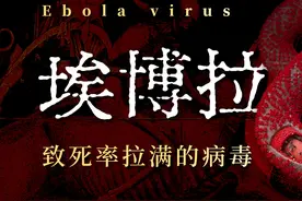 318人感染284人死亡，死亡率超90%！埃博拉为何如此致命？图片