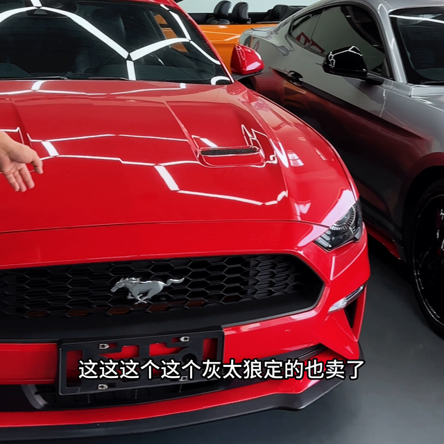 有点长，慢慢挑，有的是#谢尔比gt500
