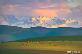 一入草原误终身，从此天堂是路人图片