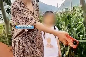 道歉有用要帽子叔叔干嘛！偷掰一根玉米被索赔500，手贱的代价！图片