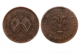 湖南造双旗币一枚二十文，值钱吗？收藏价值如何？图片