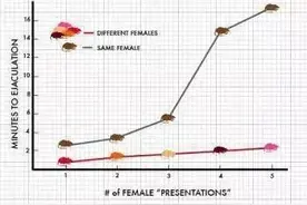 性瘾、游戏瘾、手机瘾…你为什么容易上瘾？如何戒瘾？图片