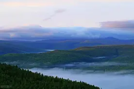 佳音第一次参加这种饭局，同寝室的马莉莲大一就被人带出来赴饭局图片