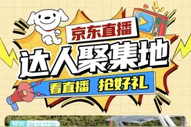 京东10亿元激励达人 电商巨头较劲内容流量图片