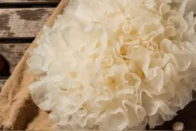 银耳的食用小技巧安利给你图片