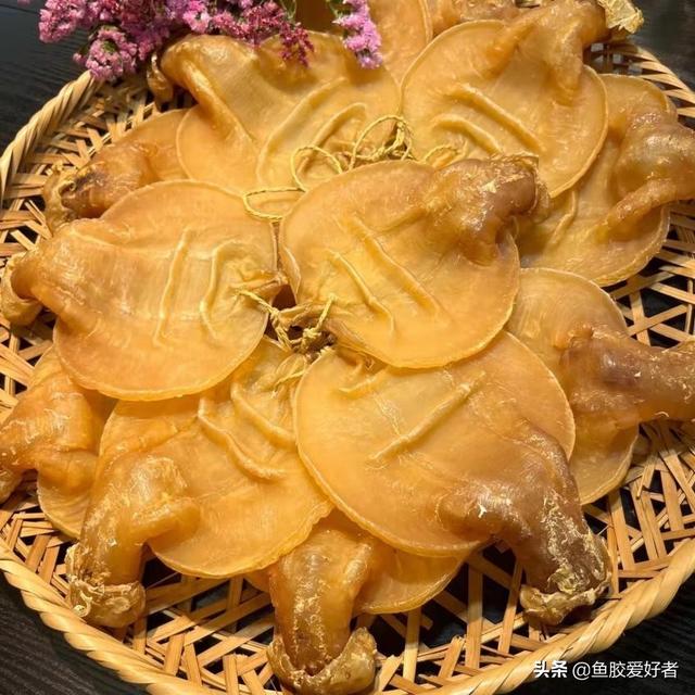 鳕鱼胶没营养的 2026年鳕鱼胶没营养的原因