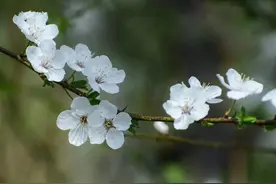 只有内心安静，才能享受的人生中最美的时光图片