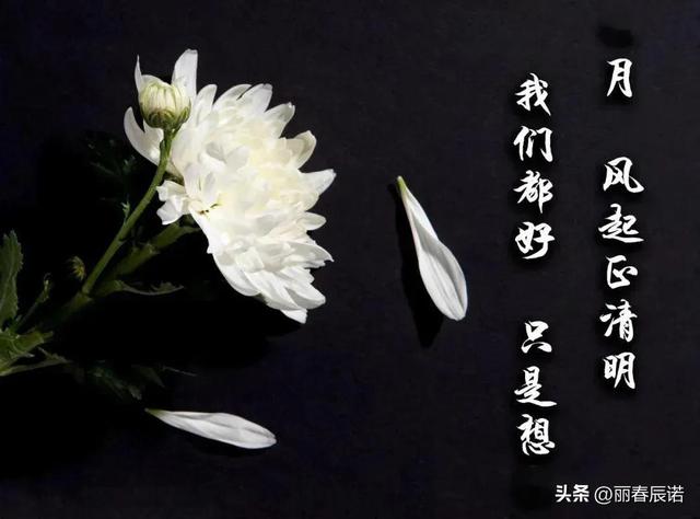 思念亲人的伤感句子简短发朋友圈 - 冷求网