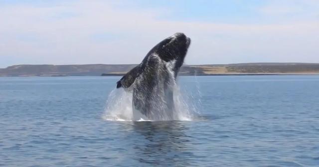 豆瓣9.4！“弱势”女孩的职场生活，揭露社会“潜规则”，真大胆