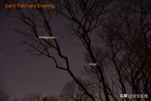 夜空中最亮的恒星，它就是天狼星，日落后可见