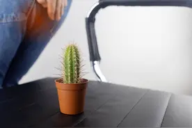 “肛裂”这种触及灵魂的痛，不管你经没经历过都应该看看图片