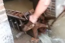 笑不活了，暴雨过后村民巧用龙骨水车排水，我却笑死在网友评论里图片