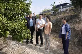 黄小雪在兴坪福利高田白沙调研时指出：要纾忧解困保民生 全力抗旱保灌溉图片