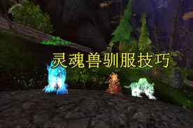 魔兽WLK：抓捕灵魂兽技巧，避开玩家高峰期，驯服成功率直接翻倍图片