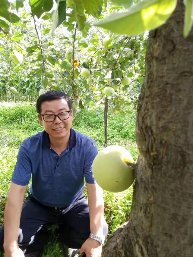 氨基酸营养液涂干究竟是坑还是金？