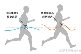 跑者必看——跑步的垂直振幅与垂直振幅比图片