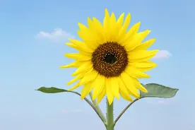 写给自己，往后余生，不求大富大贵，只求内心充盈图片