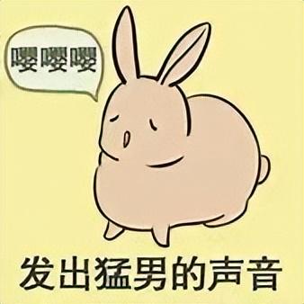 还记得当年在星空卫视，看过的那些经典日漫吗？盘点九部经典日漫