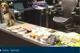 限限限！入境加拿大：携带食品有新规！境外网购这些也不行图片