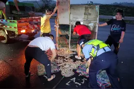 南宁至北海高速公路上皮卡车爆胎翻个四脚朝天 皮皮虾撒落高速图片
