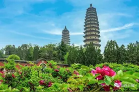 花开时节动晋阳！太原双塔寺6000多株牡丹开啦图片